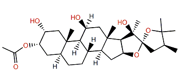 3-Acetyl-2-desacetyl-22-epihippurin 1